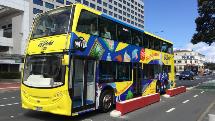 Auckland Hop On, Hop Off Explorer - 24 Hour Pass